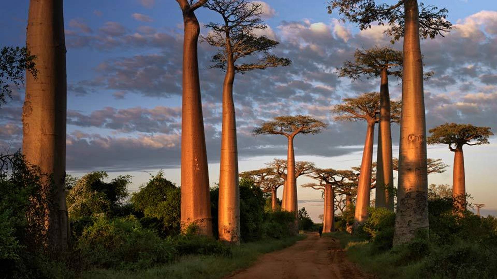 circuit à Madagascar