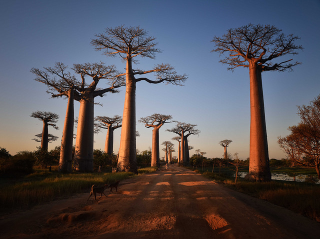circuit à Madagascar